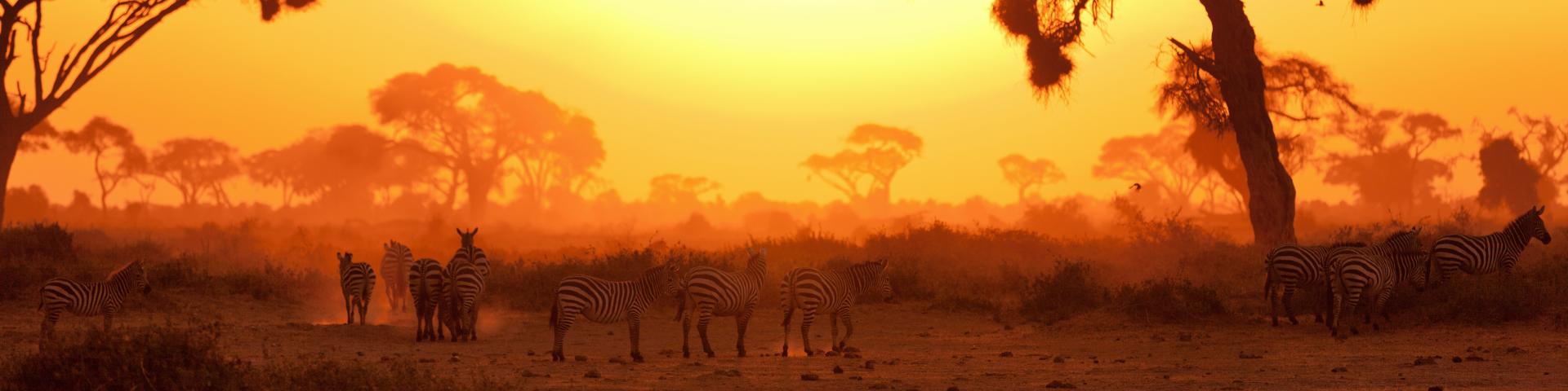 Safari Kenia i Luksusowe Seszele VIP | Constance Lemuria | Memories Vacations